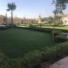 زرع طبيعي واشجار طبيعيه وشبكات راي وثيل طبيعي
