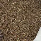 فلفل عريض الكيلو 250