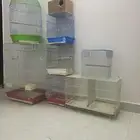 اقفاص