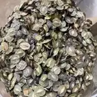 بذور خزامة بالكيلو جديد