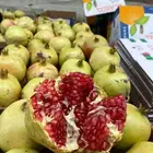 رمان الباحه