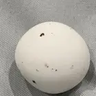 احجارطبيعي يشبه بيض الحمام