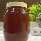 عسل سدر اصلي