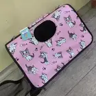 اغراض القطط للبيع