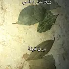 ورق غار شامي أصلي