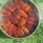 تمر صفري حبة كبير انتاج السنة هذي وحشي جديد مشروط شرط