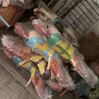مجموعة ألعاب مستخدمه ومخزنه