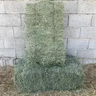 بلوبنك للبيع