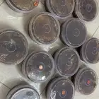 عسل طلحه قطفه جديده مشروط