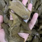 عود مروكي محسن فاخر الثمن 280 ريال