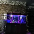 حوض سمك