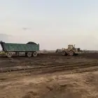 سماد بياض لاحم بقر