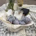 فروخ كنيور انناس (( تم البيع ))