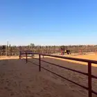 يتوفر ايواء خيل بمزرعة دان في أشيقر