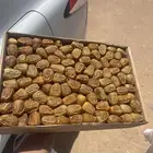 سكري مفتل