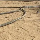 لي خمسه بوص