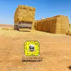 برسيم تبن ذره جميع انواع الاعلاف