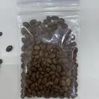 بذور اشجار ونبتات