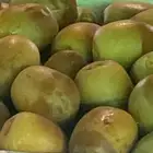 تمر روثانه حبه كبير