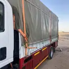 الطايف ام الدوم