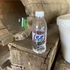 عسيب لمصايد النحل