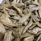 جديدنا مروكي محسن فاخر للزواجات الرياض حي بدر