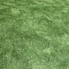 ثيل نجيله