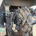دينه