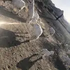 خمس متابيع عليها خمسه ووحده دافع رباع