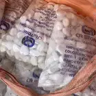 شتلات مزهره ومث