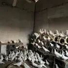 حمام فرنسي 80 زوج