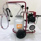 حلابة بقر