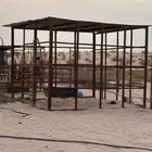 غرف خيل ( بايكة)