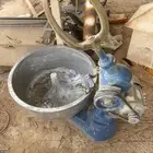 عجانه كبيره