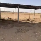 الجله جميع انواع الشبوك والمضلات والمباني