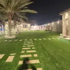 شاليه و منتجع(النخيل) للايجار اليومي