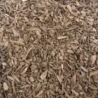 عود موروكي اصقون طبيعي