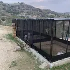 شبوك دجاج طيور
