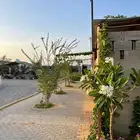 مربط ايواء وعسف وتدريب الخيل