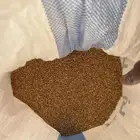 قمح بلدي انوع استرالي سدوان