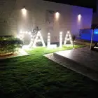 حروف مضيئة للايجار - بيع
