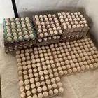 بيض بلدي وفيوم للبيع