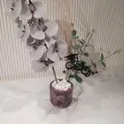 باقات ورد _مسكات عرايس