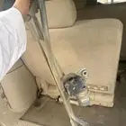 دينمو مساحات جمس - تاهو - سيلفرادو - سييرا