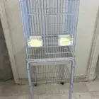 قفص ببغاء كبير بحاله نظيفه وجديده
