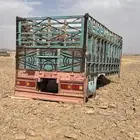 صندوق عايدي