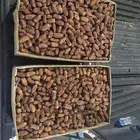 الخرمه