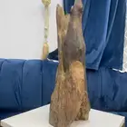 عوده طبيعي