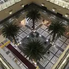 نخل صناعي نخل بلاستيك نخيل صناعي محنط