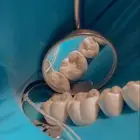 دروس طب أسنان أونلاين لجميع المواد